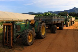 Trattori, serre & co…..comeri