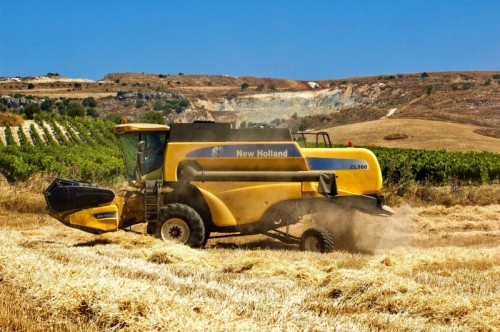 Caltanissetta - Mietigiulfo Caltanissetta - Mietigiulfo