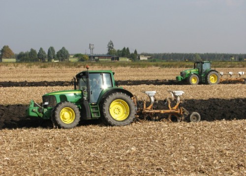 Cona - In formazione Cona - In formazione