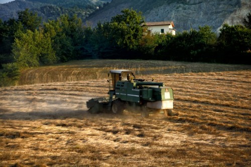 Segni - All'Opera Segni - All'Opera