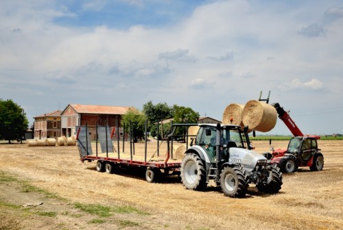Mirandola - Lavoro sincronizzato Mirandola - Lavoro sincronizzato