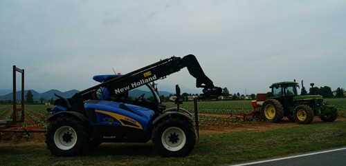 Altivole - Tabacco Altivole - Tabacco