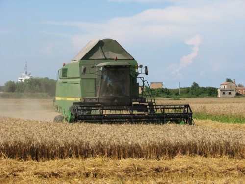 Porto Viro - Una nave sullo sfondo