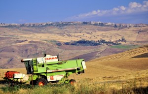 Claass  78H  Dominator