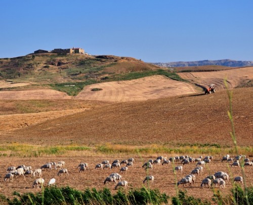 Castellana Sicula - Scena Agreste Castellana Sicula - Scena Agreste