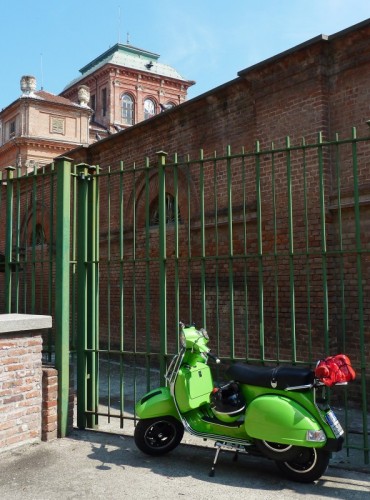 Racconigi - Verde pisello Racconigi - Verde pisello