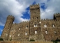 Acquapendente - Castello di torre alfina - castello.jpg
