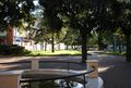 Adelfia - Piazza Vittoriano Cimmarrusti con Villa Comunale - fontana.jpg