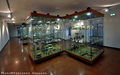 Aidone - Museo Regionale - Sala Superiore 1.jpg
