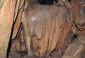 Andria - Grotta del Viccio.jpg