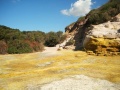 Anzio - Riserva Naturale di Tor Caldara - rocce e vegetazione locale.jpg