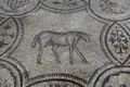 Aquileia - Mosaico pavimento 4.jpg