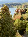 Avigliana - Caratteristiche del Territorio - Lago Grande (scorcio d'autunno) (2).jpg