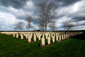 Bari - Cimitero militare Inglese.jpg