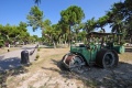 Barletta - trattore nei giardini Cervi.jpg