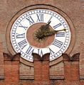 Bologna - orologio - del municipio.jpg