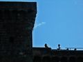 Bolsena - Bolsena - castello di Bolsena 31.jpg