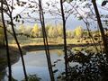 Borgone Susa - Caratteristiche del territorio - Frazione San Valeriano - Laghetto artificiale - Colori d'autunno (1).jpg