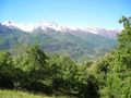 Bussoleno - Aree protette delle Alpi Cozie - Parco Naturale Regionale Orsiera Rocciavrè (3).jpg