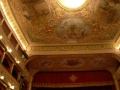 Camerino - Teatro Marchetti - soffitto e proscenio.jpg
