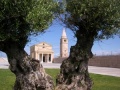 Caorle - Santuario della Madonna dell'angelo - fede e natura.jpg