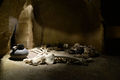 Capaccio - Museo archeologico nazionale Paestum 47.jpg