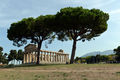 Capaccio - Tempio Atena Hera Paestum 10.jpg