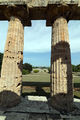 Capaccio - Tempio di Nettuno a Paestum 18.jpg