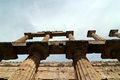 Capaccio - Tempio di Nettuno a Paestum 19.jpg