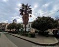 Capo d'Orlando - Piazza Francesco Paolo Merendino.jpg