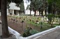 Capurso - Cimitero Monumentale - tombe con fiori.jpg