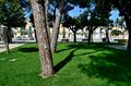 Capurso - Villa Comunale - giardino 5.jpg