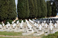 Casamassima - Cimitero Militare Polacco 14.jpg