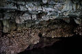 Castrignano del Capo - Grotte di Ponente 10.jpg