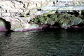 Castrignano del Capo - Grotte di Ponente 7.jpg