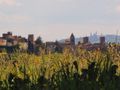 Certaldo - Borghi medievali fra le campagne toscane - Certaldo Alto e le torri di San Gimignano sullo sfondo.jpg