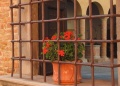 Certaldo - Palazzo Stiozzi Ridolfi a Certaldo Alto - Dettaglio della facciata.jpg