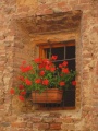 Certaldo - Primavera a Certaldo Alto - Gerani in fiore e mattoni rossi.jpg