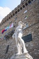Firenze - David in Piazza.jpg
