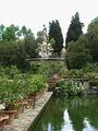 Firenze - Giardini di Boboli.jpg