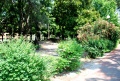 Firenze - Giardino Antonino Caponnetto - ponticello nel giardino.jpg