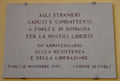 Forlì - 50° anniversario liberazione stranieri.jpg
