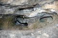 Grottaglie - Gravina di Riggio e cascata 14.jpg