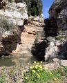 Grottaglie - Gravina di Riggio e cascata 26.jpg