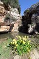 Grottaglie - Gravina di Riggio e cascata 27.jpg