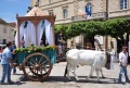 Larino - Uno dei carri in onore di San Pardo.jpg