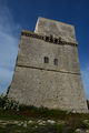 Manduria - Torre Colimena 10.jpg