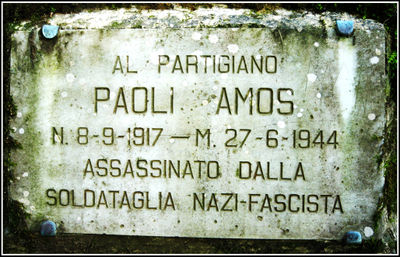 Massarosa - Amos Paoli - loc Compignano.jpg