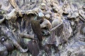 Massarosa - scultura monumento caduti.jpg
