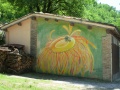 Matelica - Murales di Braccano - girasole.jpg